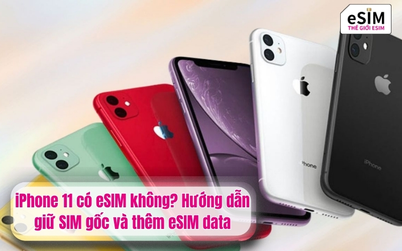iPhone 11 có eSIM không? Hướng dẫn giữ SIM gốc và thêm eSIM data